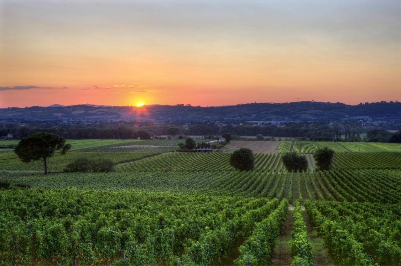 Poggio Alle Vigne Торджано Экстерьер фото