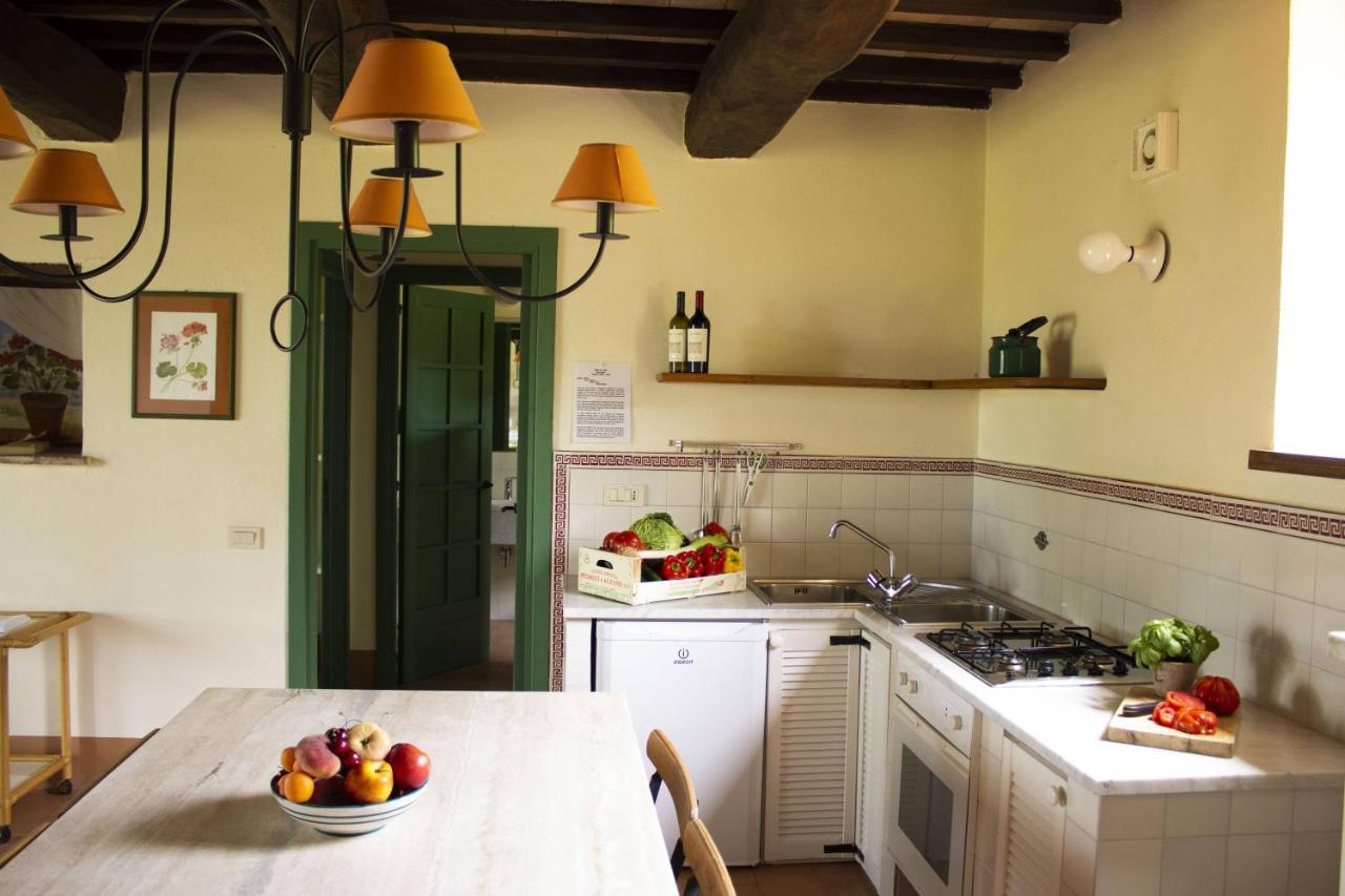 Poggio Alle Vigne Торджано Экстерьер фото
