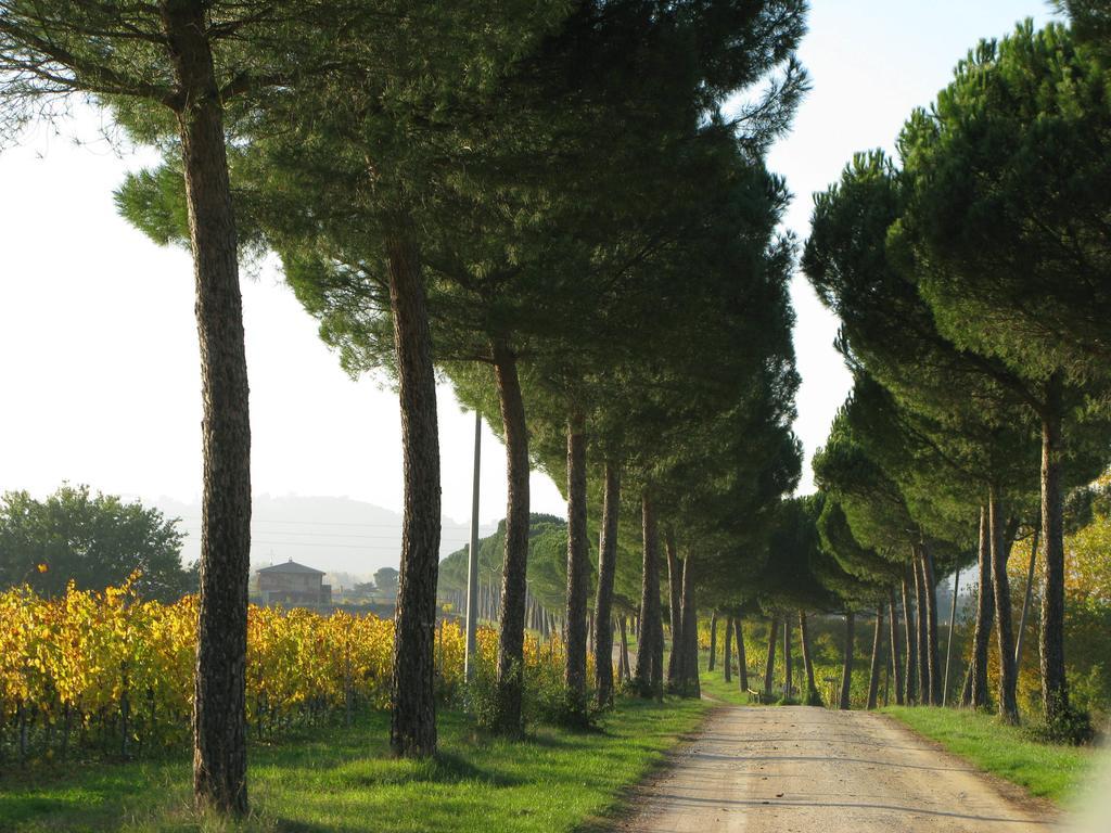 Poggio Alle Vigne Торджано Экстерьер фото